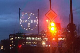 Das Bayer-Kreuz in Leverkusen.