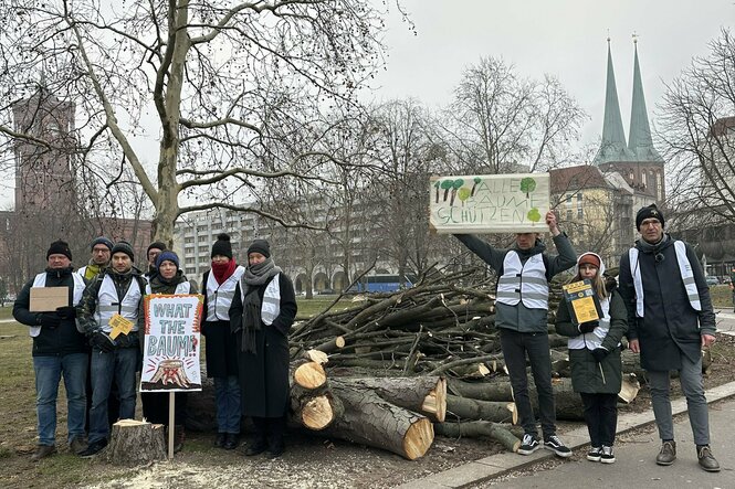 BaumEntscheid demonstriert auf dem Marx-Engels-Forum vor abgeholzten Bäumen