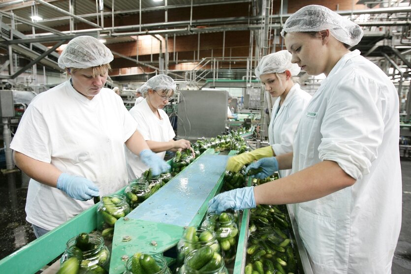 Mitarbeiterinnen beim Einfüllen von Spreewaldgurken