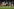 Ein Rugbyspieler schwebt mit dem Rugbyball im Arm durch die Luft