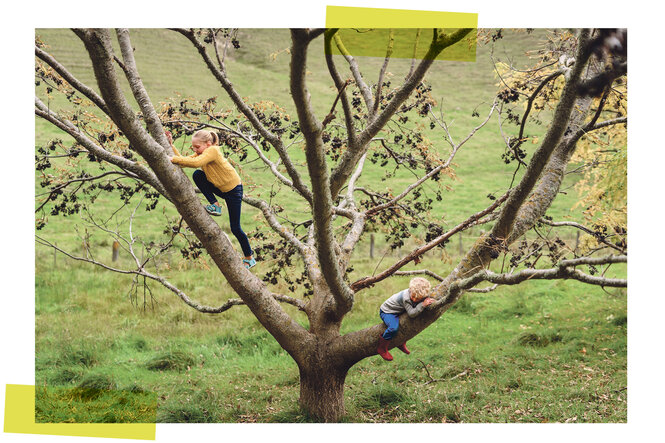 Zwei Kinder klettern auf einen blühenden Baum.