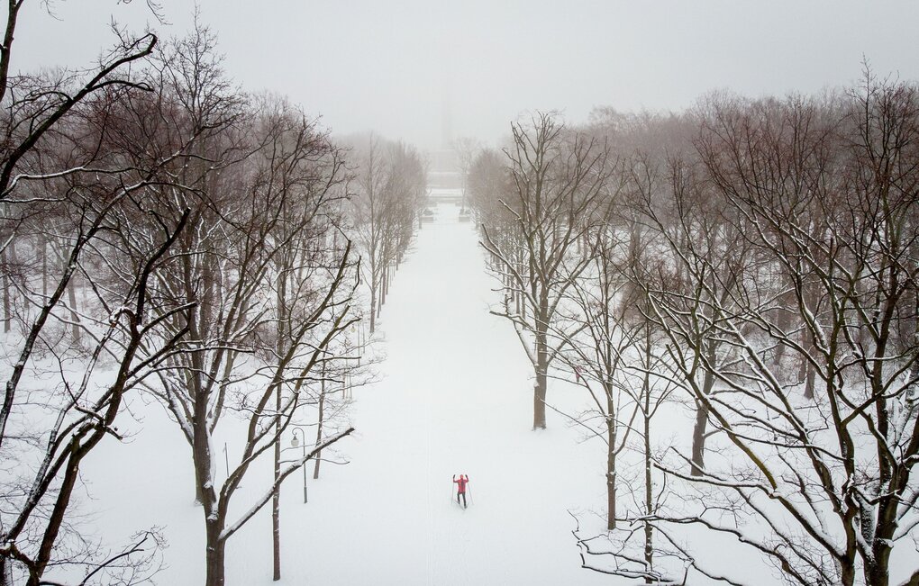 Ein Skilangläufer fährt am frühen Morgen bei Nebel durch den verschneiten Tiergarten in Richtung der Siegessäule. (Aufnahme mit einer Drohne)