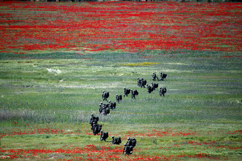 Soldaten rücken in einem Feld vor, roter Mohn blüht