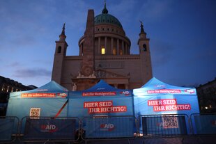 AfD in Potsdam