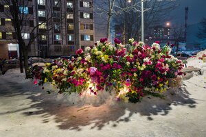 Viele gelbe und rote Blumen liegen im Schnee, ein Wohnhaus dahinter ist erleuchtet