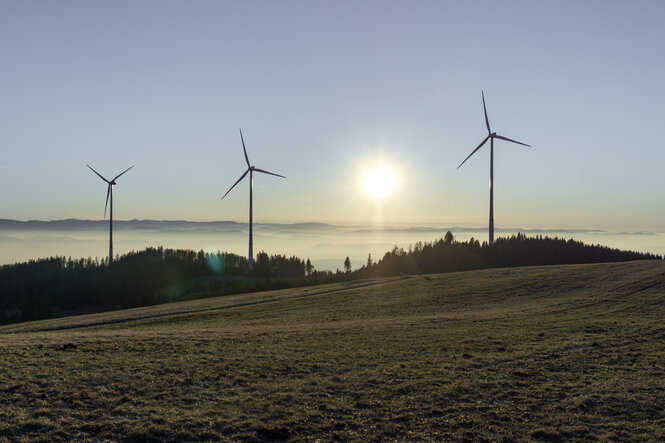 Windräder im Sonnenuntergang