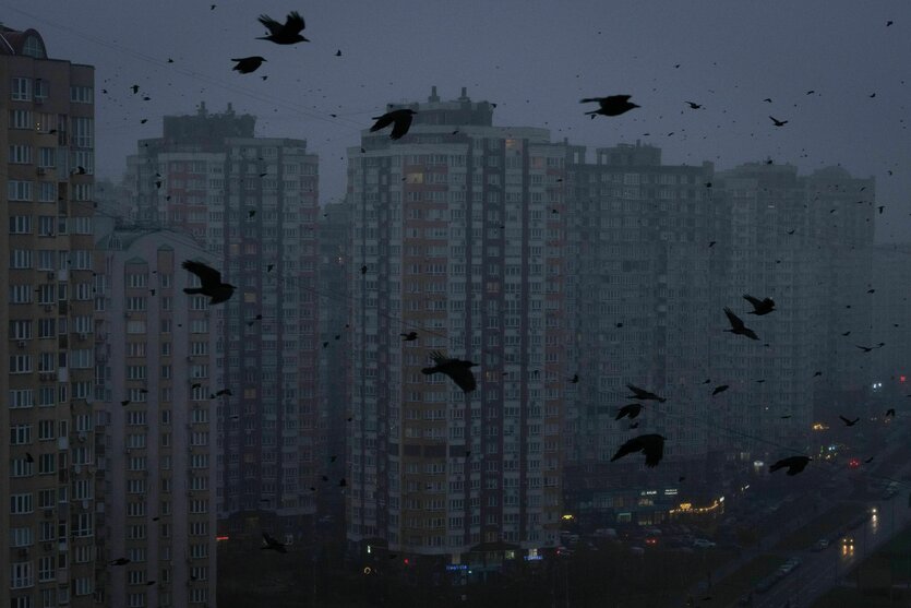 Silhouetten von schwarzen Vögeln vor unbeleuchteten Hochhäusern: Blackout in Kyjiw