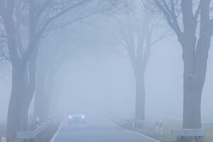 Auto im Nebel fährt mit Scheinwerfern über Land auf einer Allee