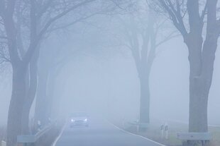 Auto im Nebel fährt mit Scheinwerfern über Land auf einer Allee