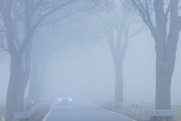 Auto im Nebel fährt mit Scheinwerfern über Land auf einer Allee