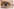 Ein Auge mit Lachfalten