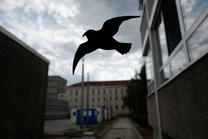 Ein schwarzer Vogel-Aufkleber an der Scheibe eines Fensters der JVA Stadelheim in München