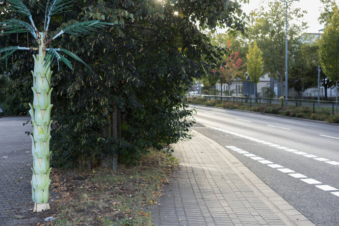 Farbfotografie eines Gewegs und einer Straße in Kaiserslautern. Im linken Bildrand steht eine grüne Palme, deren Rinde und Blätter aus Kunststoff bestehen. Sie sind an einem Stahlträger befestigt, der oben leicht begonnen hat, zu rosten.