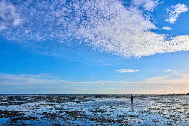 Ein Mensch im Wattenmeer