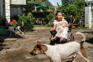 Eine Frau sitzt im Rollstuhl, sie trägt ein Sommerkleid, ein Hund steht vor ihr und die Sonne scheint