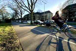 Sonne scheint durch kahle Bäume am Tempelhofer Damm