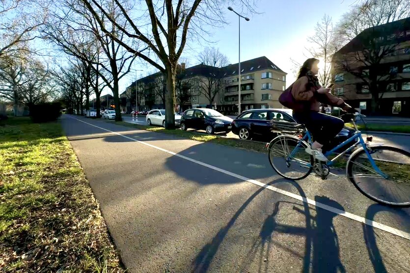 Sonne scheint durch kahle Bäume am Tempelhofer Damm