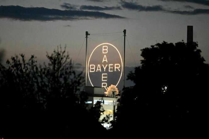 Das Logo des Unternehmens Bayer leuchtet zwischen zwei Bäumen.