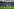 zwei Fußballerinnen kämpfen im vollbesetzten Volksparkstadion um den Ball