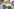 Zwei junge Menschen von hinten mit LGBTQ-Fahne in Bukarest