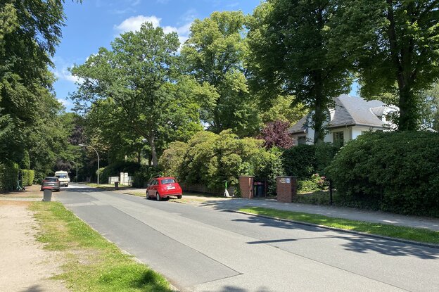 Eine ruhige Straße von Bäumen umgeben