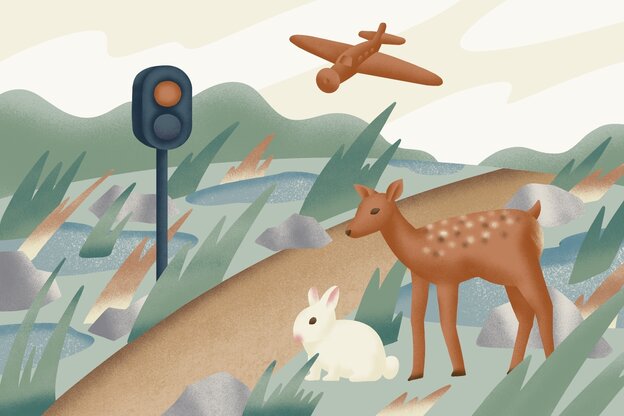 Ein Reh, ein Hase, ein Segelflugzeug und eine Ampel in einer Landschaft