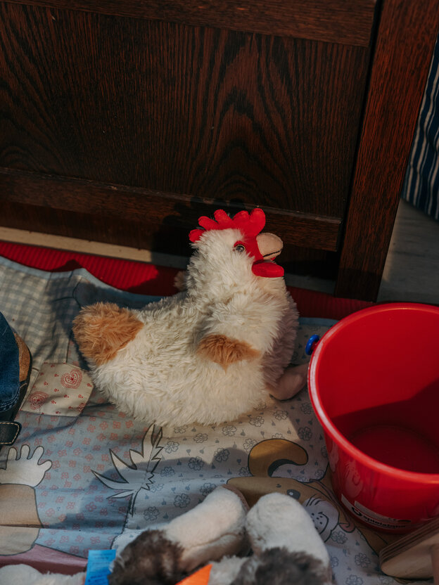 Ein Plüsch-Huhn