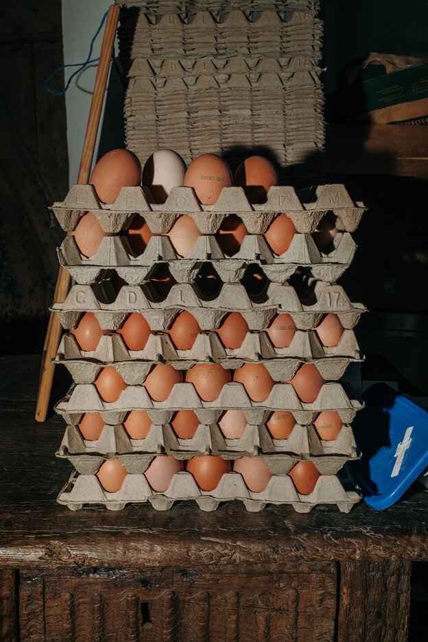 Eierkisten mit Eiern