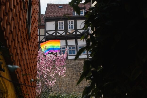 Eine Regenbogenfahne, ein Fachwerkhaus und ein blühender Baum