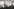 Stare vor der Frankfurter Skyline