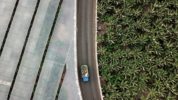 Drohnenaufnahme: Ein mit Bananen beladener LKW fährt auf einer Straße