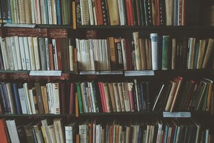 Ein volles Buchregal.