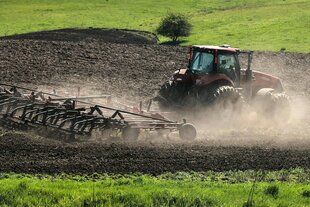 Ein Traktor bringt auf einem Feld Saatgut auf