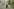 Portrait von Max