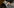 Eine Hand hält zwei alte Fotos von jungen Männern