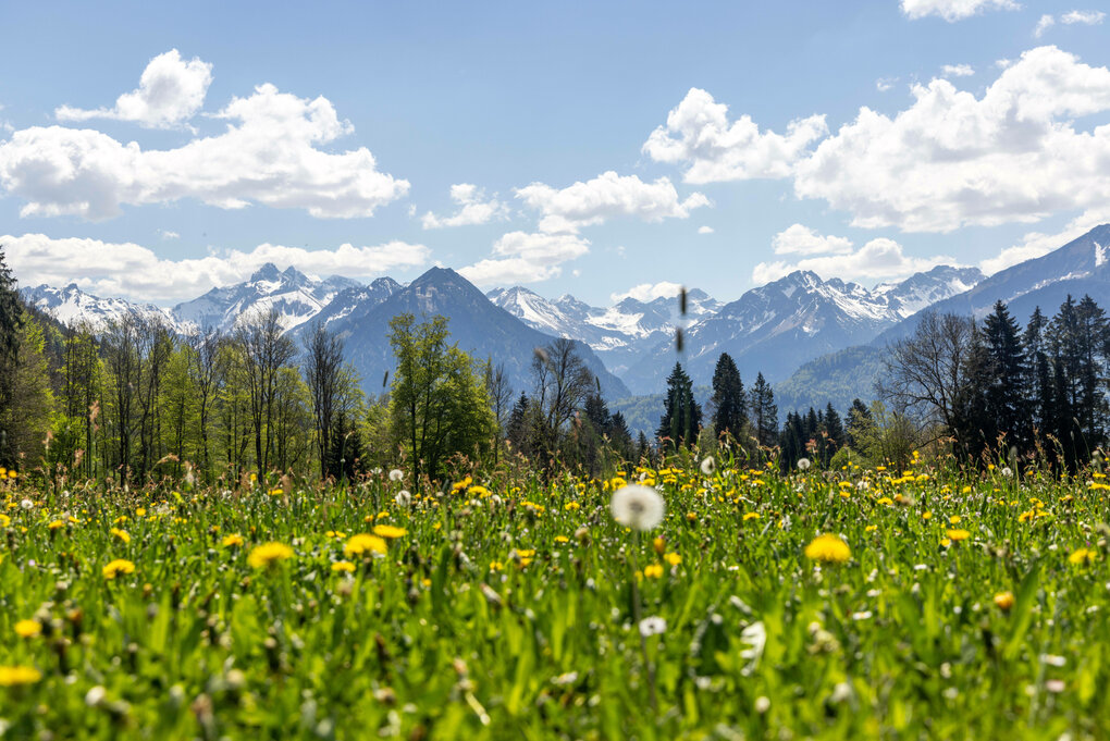 Die Sonne scheint bei blauem Himmel und wenigen Wolken auf die Allgäuer Alpen