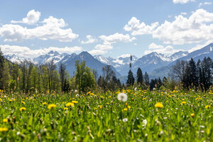 Die Sonne scheint bei blauem Himmel und wenigen Wolken auf die Allgäuer Alpen