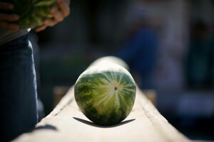 Eine Wassermelone auf einem Förderband