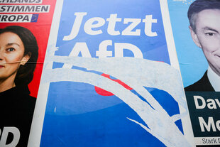 zerrissenes Plakat der AfD zwischen welchen von SPD und CDU