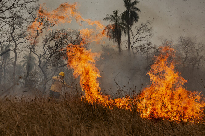 Bewohner des Dorfes Tomazia im indigenen Territorium Kadiweu bekämpfen einen Waldbrand.