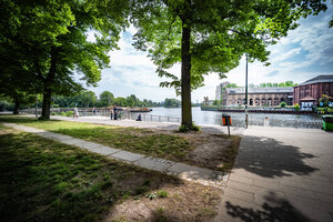Fluss hinter Bäumen