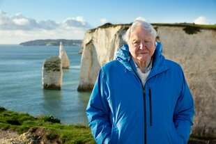 David Attenborough vo einer Steilküste