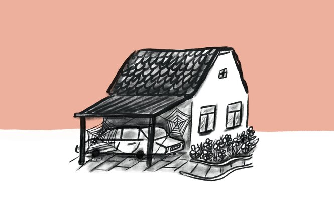 Carport, spinnennetzüberzogen vor Einfamilienhaus , Illustration