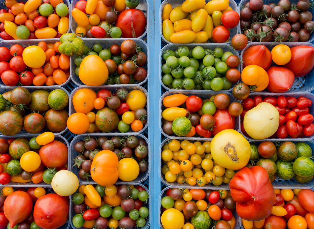 Viele unterschiedliche Tomatensorten in zwei Kisten