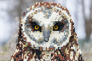 Eine Eule aus Lego-Steinen gebaut