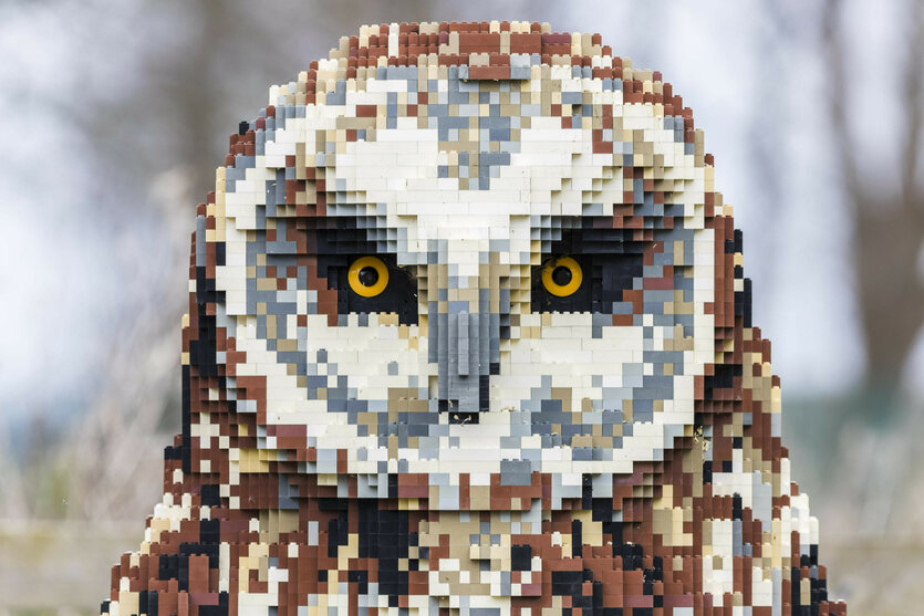 Eine Eule aus Lego-Steinen gebaut