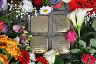 Blumen neben den Stolpersteinen für Friedländer und ihre Familie