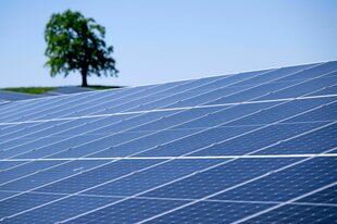 Die Sonne scheint auf einen Solarpark (Symbolbild)