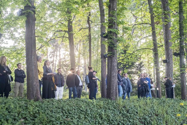 Besucher:innen stehen in der schmalen Kastanienallee im Garten des Haus der Wannsee-Konferenz und lauschen der Soundinstallation