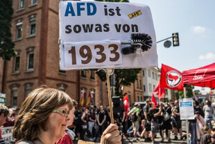 Eine Frau hält ein Schild hoch: „AFD ist sowas von 1933“. Über das „1933“ ist eine Klobürste geklebt. Im Hintergrund Demonstrierende und eine rote Antifa-Fahne.